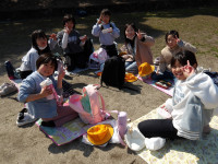 IMGP0774