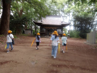 IMGP0882