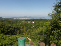 IMGP0966