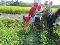 sIMG_4473